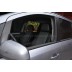 Авточехлы Автопилот для Opel Zafira B в Иркутске